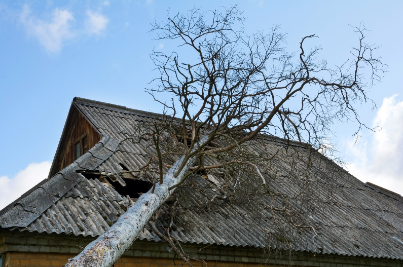 debris damage roof. a tree that has fallen on top of a roof